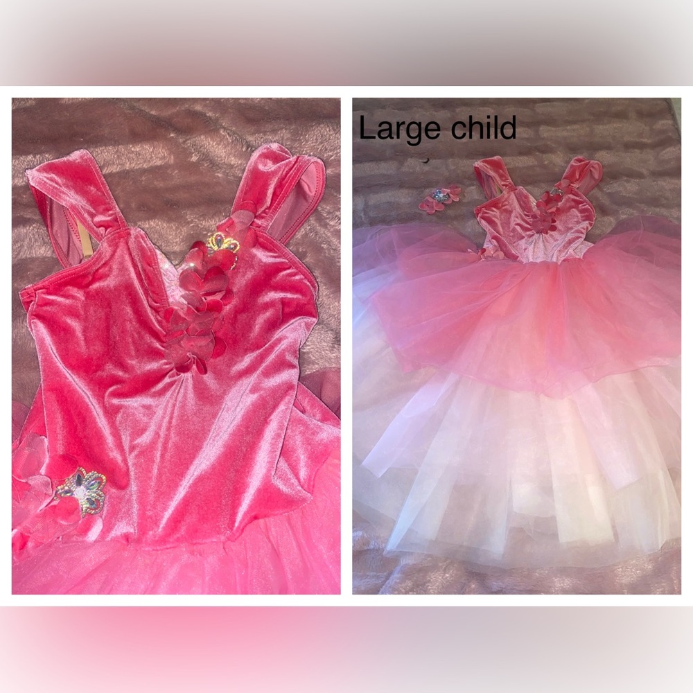 Pink Tulle ballet costume with Floral Accents